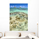 Hawaii, Oahu, Lanikai, Mokulua Islands, Coral Head Wall Mural