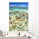 Hawaii, Oahu, Lanikai, Mokulua Islands, Coral Head Wall Mural