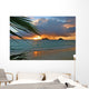 Palm Frond Wall Mural