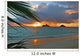 Palm Frond Wall Mural
