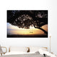 Tree Swing Silhouetted Against Beach And Calm Ocean At Sunrise Wall Mural