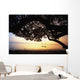 Tree Swing Silhouetted Against Beach And Calm Ocean At Sunrise Wall Mural
