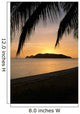 Palm Frond A75F Wall Mural