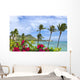 Palm Trees And Bougainvillea Foreground Wall Mural