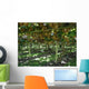 Kiwi Wall Mural