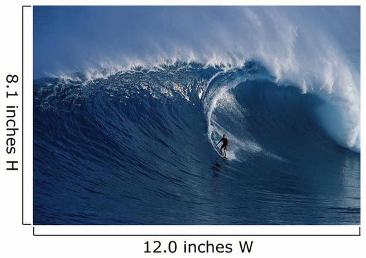 Curling Wave Wall Mural