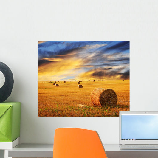 Golden sunset over farm field Wall Mural