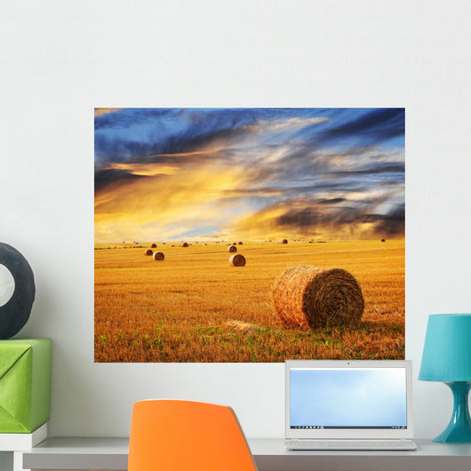 Golden sunset over farm field Wall Mural