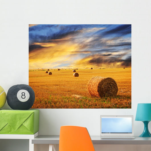 Golden sunset over farm field Wall Mural