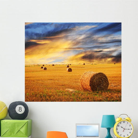 Golden sunset over farm field Wall Mural
