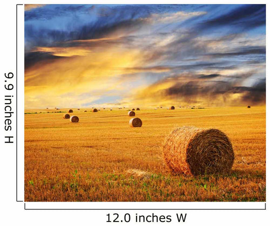 Golden sunset over farm field Wall Mural