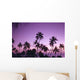 Palm Trees Silhouetted A58B Wall Mural