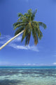 Shallow Ocean A56B Wall Mural