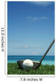 Golf Ball And Driver, Ocean In Blurred Background Wall Mural