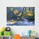 Oregon, Cascade Mountain Range, Yellow Autumn Leaves With Stream Wall Mural