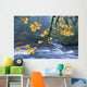 Oregon, Cascade Mountain Range, Yellow Autumn Leaves With Stream Wall Mural