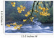 Oregon, Cascade Mountain Range, Yellow Autumn Leaves With Stream Wall Mural