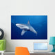 Sandbar Shark Swims Into Camera Side Angle Clear Blue Ocean A79E Wall Mural