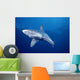 Sandbar Shark Swims Into Camera Side Angle Clear Blue Ocean A79E Wall Mural