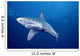 Sandbar Shark Swims Into Camera Side Angle Clear Blue Ocean A79E Wall Mural