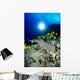 Hawaii, Whitetip Reef Shark Over Reef, Butterflyfish Sunburst A78F Wall Mural