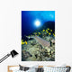 Hawaii, Whitetip Reef Shark Over Reef, Butterflyfish Sunburst A78F Wall Mural