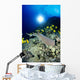 Hawaii, Whitetip Reef Shark Over Reef, Butterflyfish Sunburst A78F Wall Mural