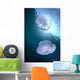 Pair Of Jellyfish Near Surface With Sunburst A88G Wall Mural