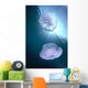 Pair Of Jellyfish Near Surface With Sunburst A88G Wall Mural