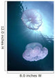 Pair Of Jellyfish Near Surface With Sunburst A88G Wall Mural