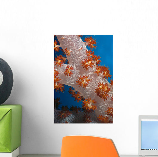 Fiji, South Pacific, Soft Coral, Extreme Close-Up Detail A91G Wall Mural
