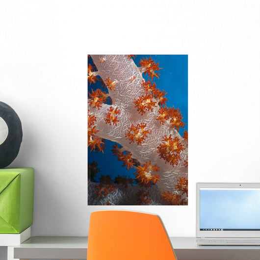 Fiji, South Pacific, Soft Coral, Extreme Close-Up Detail A91G Wall Mural