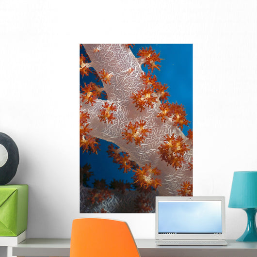 Fiji, South Pacific, Soft Coral, Extreme Close-Up Detail A91G Wall Mural