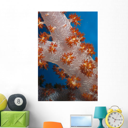 Fiji, South Pacific, Soft Coral, Extreme Close-Up Detail A91G Wall Mural