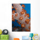 Fiji, South Pacific, Soft Coral, Extreme Close-Up Detail A91G Wall Mural
