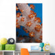 Fiji, South Pacific, Soft Coral, Extreme Close-Up Detail A91G Wall Mural