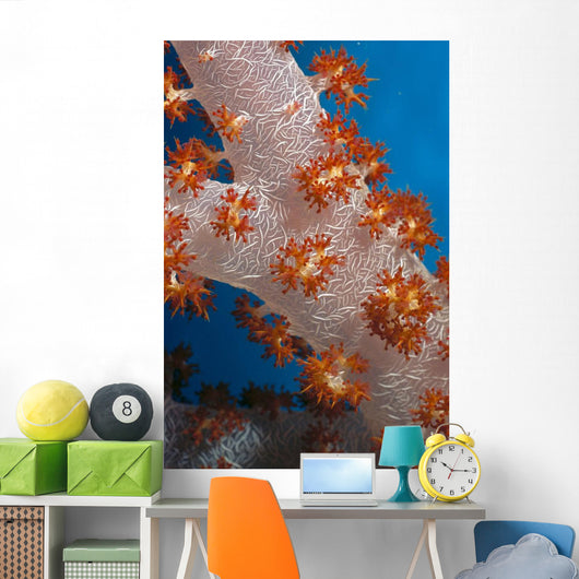 Fiji, South Pacific, Soft Coral, Extreme Close-Up Detail A91G Wall Mural