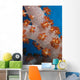 Fiji, South Pacific, Soft Coral, Extreme Close-Up Detail A91G Wall Mural