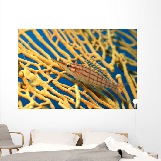 Palau, Longnose Hawkfish On Yellow Sea Fan A84D Wall Mural
