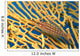Palau, Longnose Hawkfish On Yellow Sea Fan A84D Wall Mural