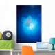 Australia, Jellyfish Illuminated By Sunburst A88J Wall Mural