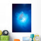 Australia, Jellyfish Illuminated By Sunburst A88J Wall Mural