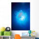 Australia, Jellyfish Illuminated By Sunburst A88J Wall Mural