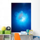 Australia, Jellyfish Illuminated By Sunburst A88J Wall Mural
