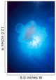 Australia, Jellyfish Illuminated By Sunburst A88J Wall Mural