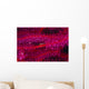 Solomon Islands, Goby On Sea Whip, Close-Up Detail A90A Wall Mural