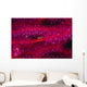 Solomon Islands, Goby On Sea Whip, Close-Up Detail A90A Wall Mural