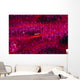 Solomon Islands, Goby On Sea Whip, Close-Up Detail A90A Wall Mural