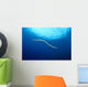 Indonesia, Colubrine Sea Snake In Open Ocean, Surface Visible A90D Wall Mural