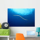 Indonesia, Colubrine Sea Snake In Open Ocean, Surface Visible A90D Wall Mural